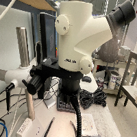 Leica Stereo Microscope Imaging System image 2